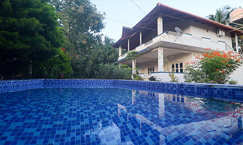 Nature View Homestay and Cottages