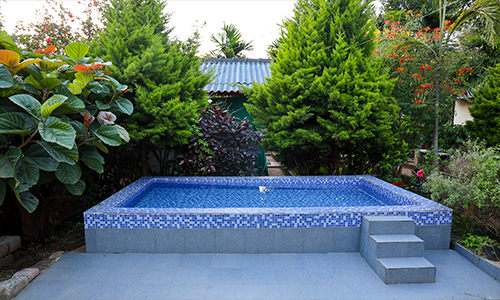 Nature View Homestay and Cottages